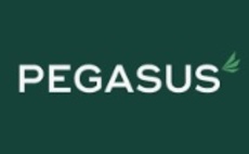Pegasus Finance